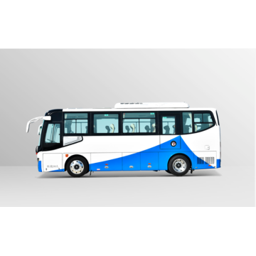 30 SEATS ELEKTRISKE toerist